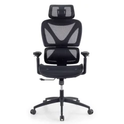 Sedia da ufficio ergonomica Velstrom con supporto lombare e braccioli 3D