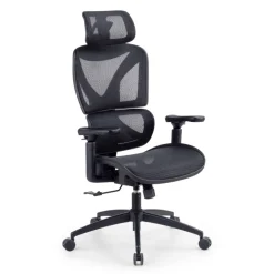 Sedia da ufficio ergonomica Velstrom con supporto lombare e braccioli 3D