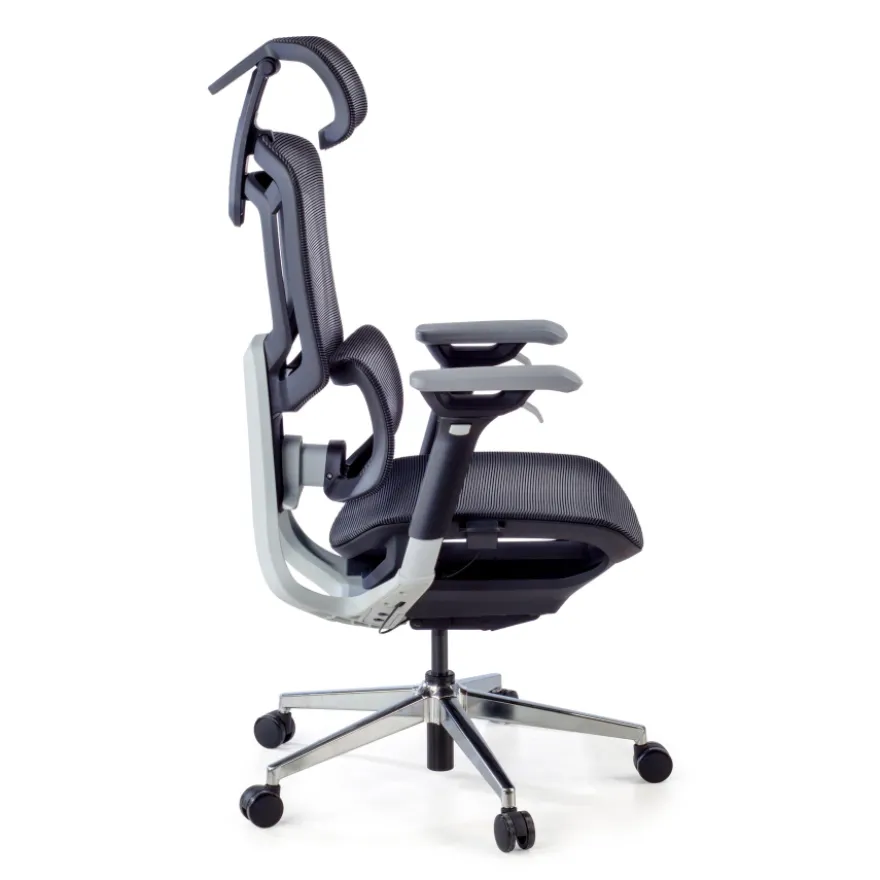 Sedia da Ufficio Ergonomica Valkyr, schienale auto-adattabile
