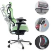 Sedia direzionale ergonomica Ergohuman Edition I, Struttura nera