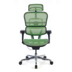 Sedia direzionale ergonomica Ergohuman Edition I, Struttura nera