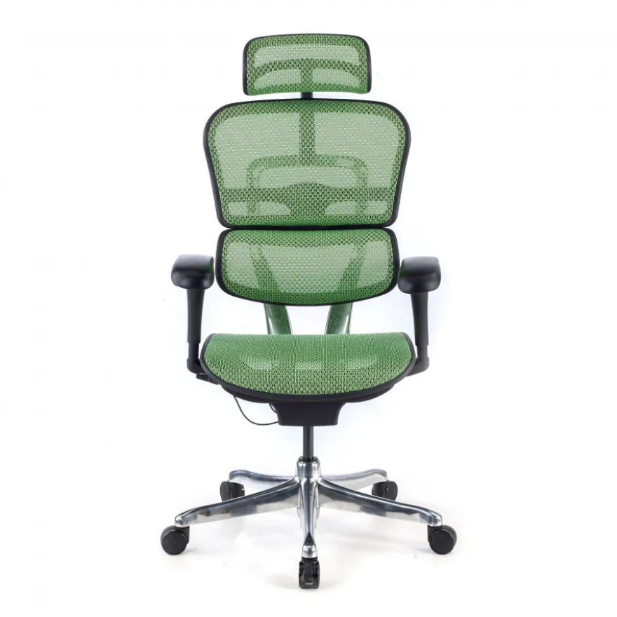 Sedia direzionale ergonomica Ergohuman Edition I, Struttura nera