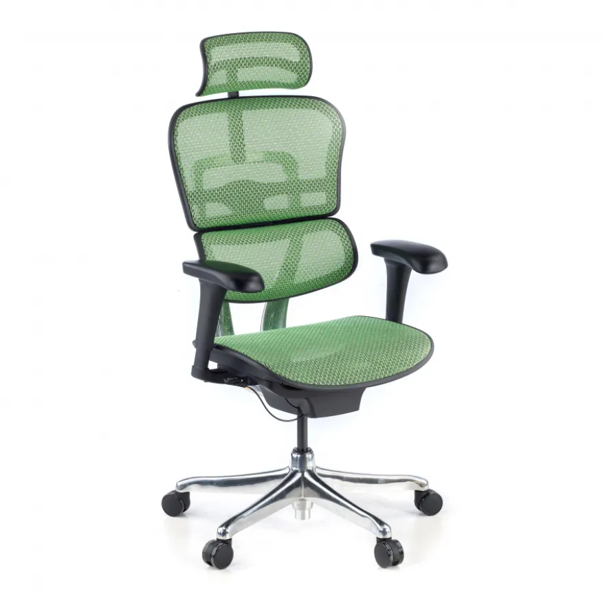 Sedia direzionale ergonomica Ergohuman Edition I, Struttura nera