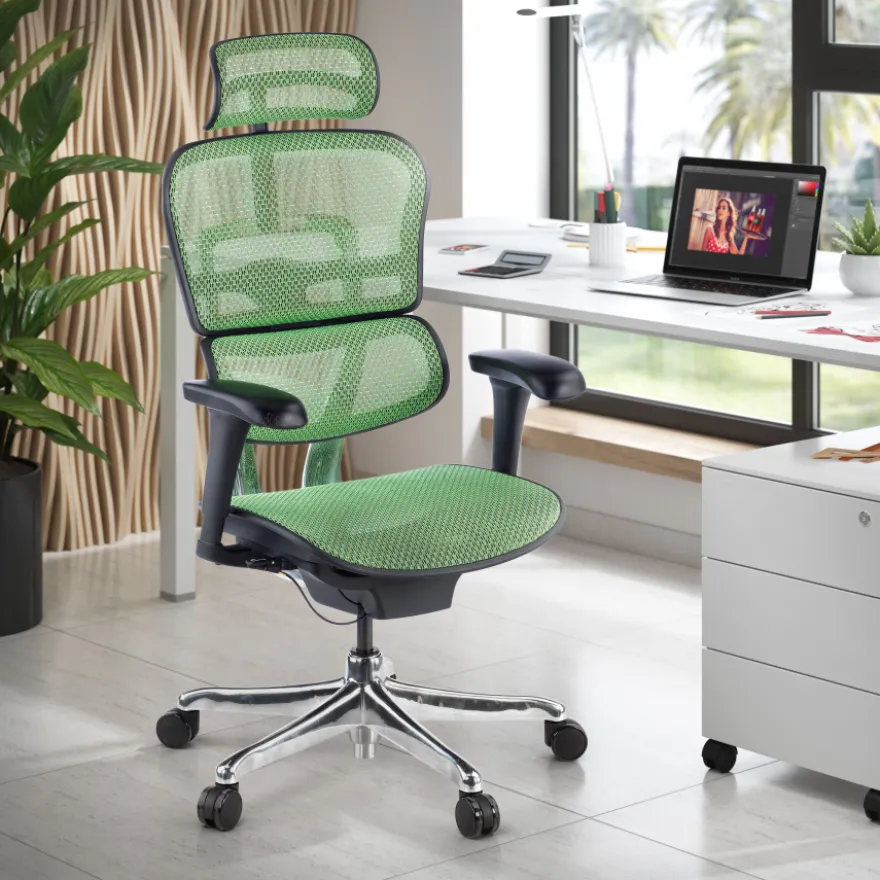 Sedia direzionale ergonomica Ergohuman Edition I, Struttura nera