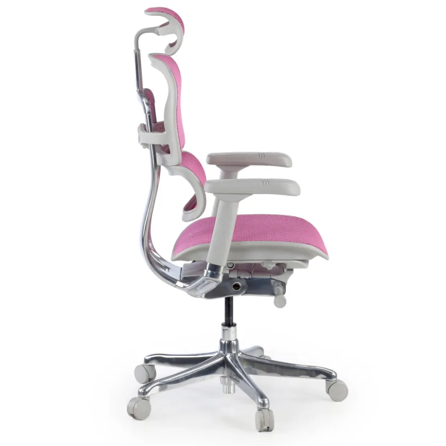 Sedia direzionale ergonomica Ergohuman Elite, Struttura bianca