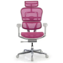 Sedia direzionale ergonomica Ergohuman Elite, Struttura bianca