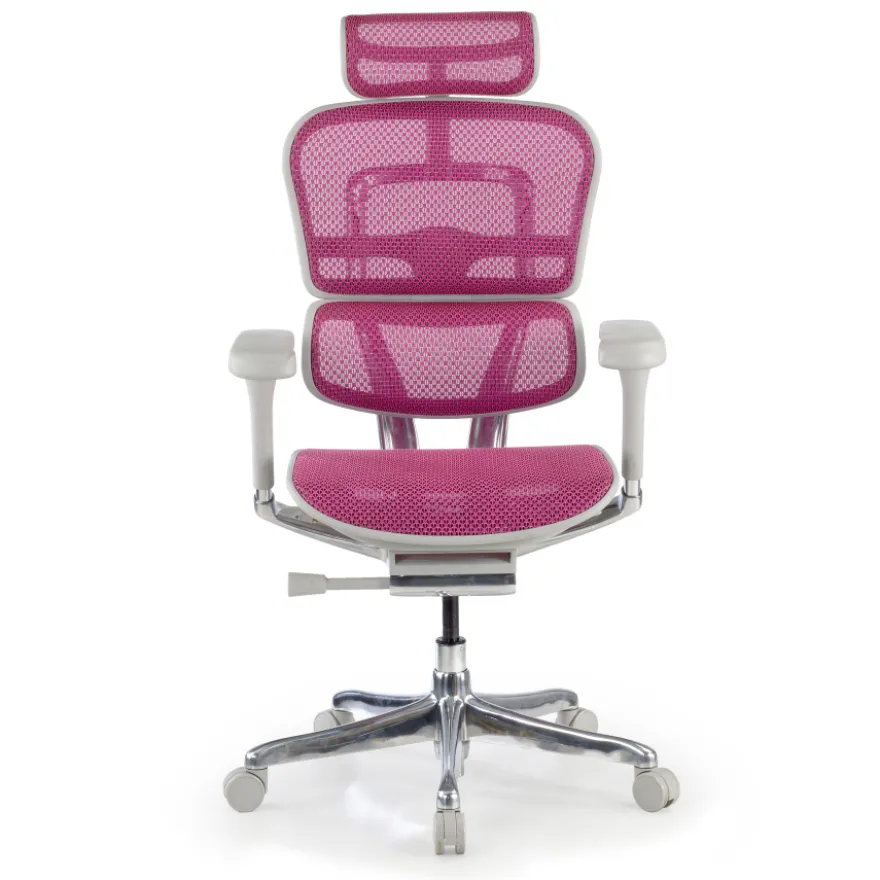 Sedia direzionale ergonomica Ergohuman Elite, Struttura bianca