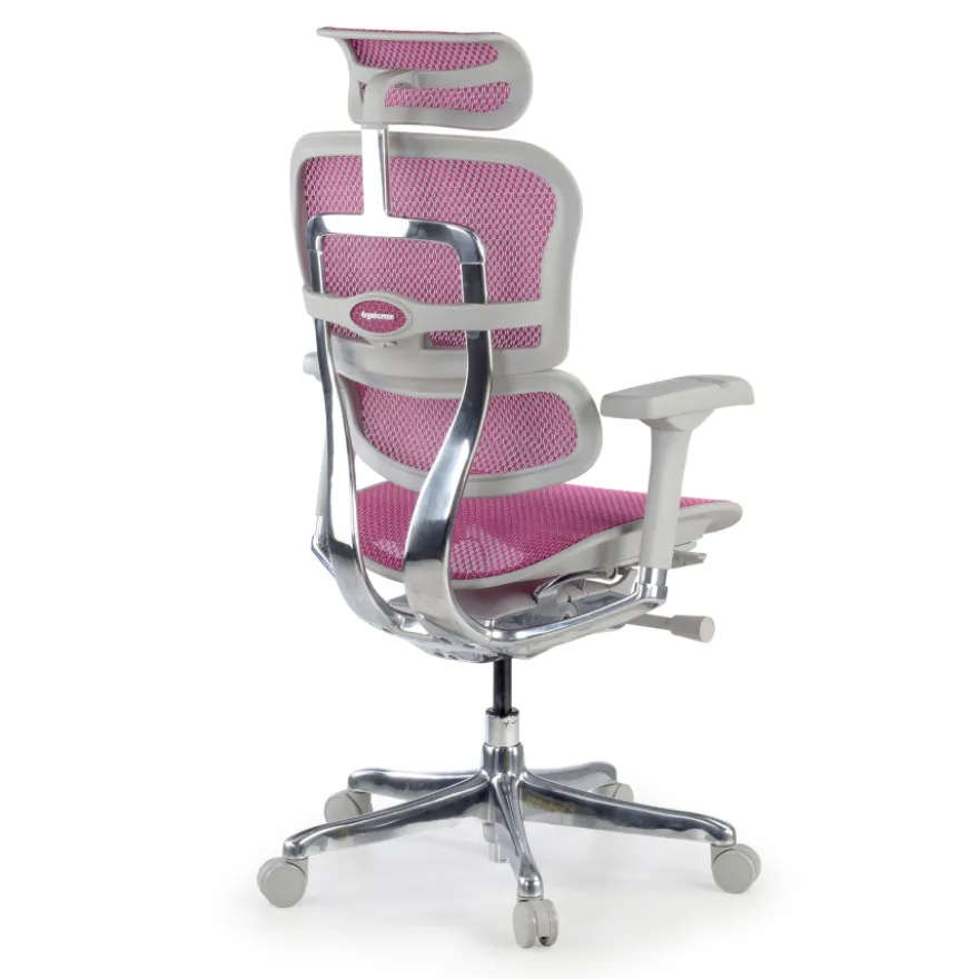 Sedia direzionale ergonomica Ergohuman Elite, Struttura bianca
