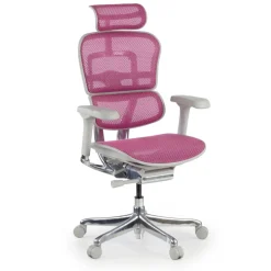 Sedia direzionale ergonomica Ergohuman Elite, Struttura bianca