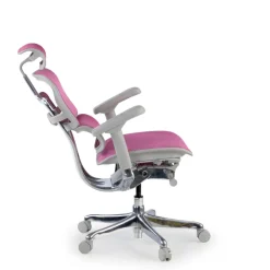 Sedia direzionale ergonomica Ergohuman Elite, Struttura bianca