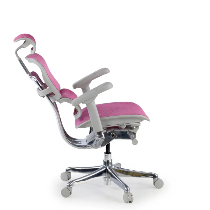 Sedia direzionale ergonomica Ergohuman Elite, Struttura bianca