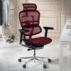 Sedia direzionale ergonomica Ergohuman Elite, Struttura nera
