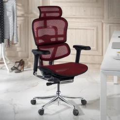 Sedia direzionale ergonomica Ergohuman Elite, Struttura nera
