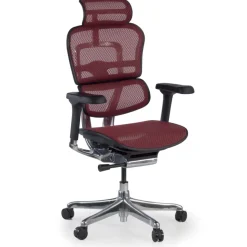 Sedia direzionale ergonomica Ergohuman Elite, Struttura nera