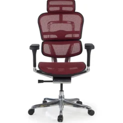 Sedia direzionale ergonomica Ergohuman Elite, Struttura nera