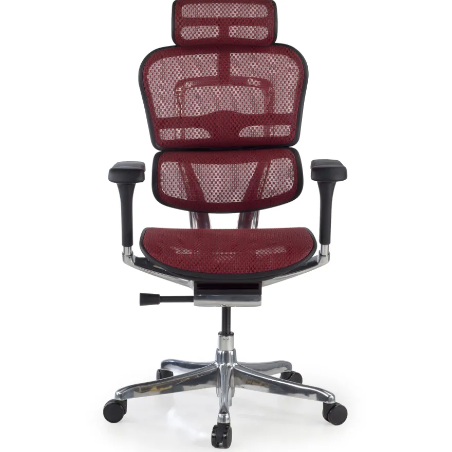 Sedia direzionale ergonomica Ergohuman Elite, Struttura nera