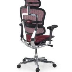 Sedia direzionale ergonomica Ergohuman Elite, Struttura nera