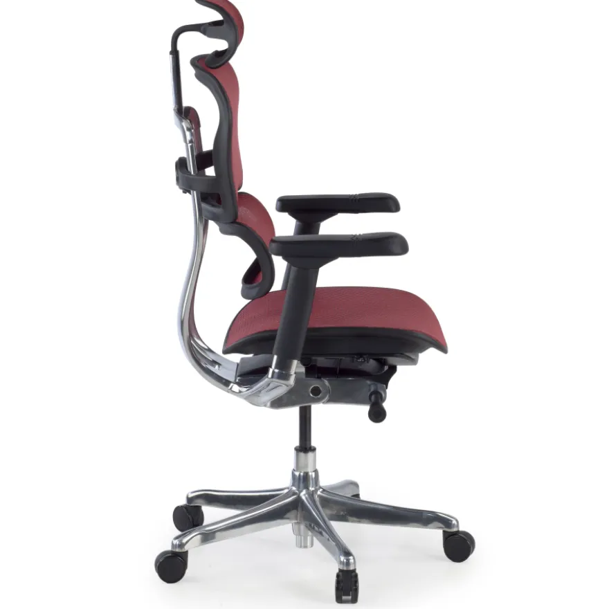 Sedia direzionale ergonomica Ergohuman Elite, Struttura nera