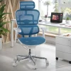 Sedia direzionale ergonomica Ergohuman Edition I, Struttura bianca