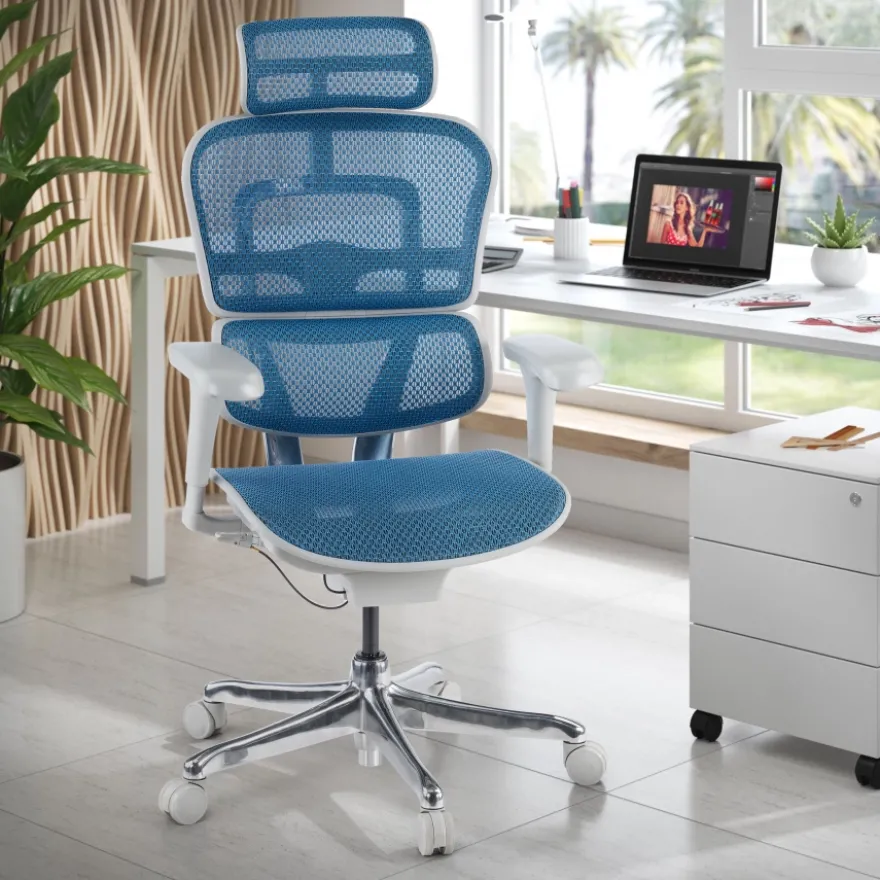 Sedia direzionale ergonomica Ergohuman Edition I, Struttura bianca
