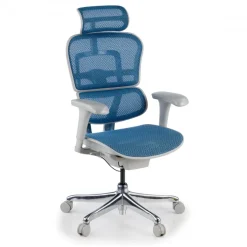 Sedia direzionale ergonomica Ergohuman Edition I, Struttura bianca