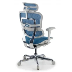 Sedia direzionale ergonomica Ergohuman Edition I, Struttura bianca