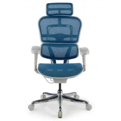 Sedia direzionale ergonomica Ergohuman Edition I, Struttura bianca