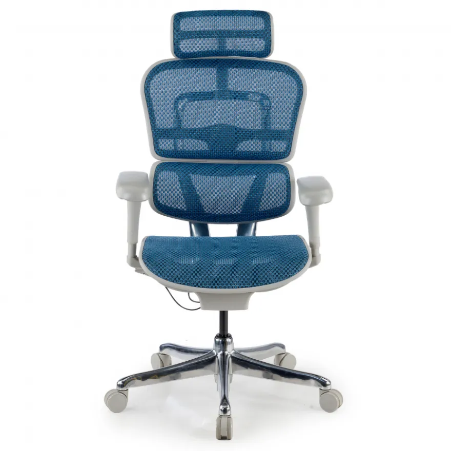 Sedia direzionale ergonomica Ergohuman Edition I, Struttura bianca