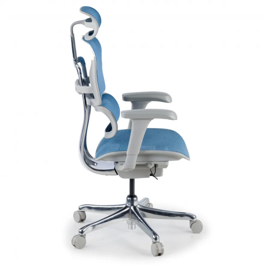 Sedia direzionale ergonomica Ergohuman Edition I, Struttura bianca