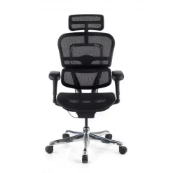 Sedia direzionale ergonomica Ergohuman Edition I, Struttura nera