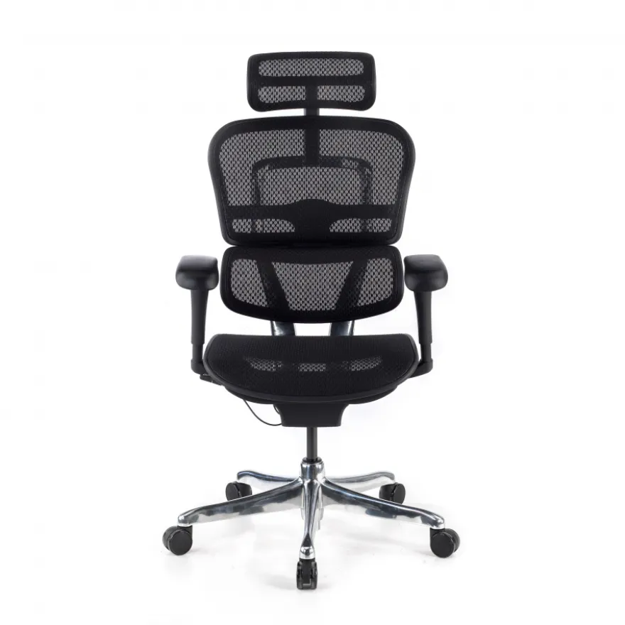 Sedia direzionale ergonomica Ergohuman Edition I, Struttura nera
