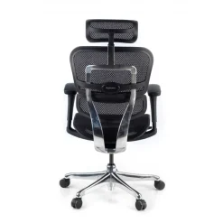 Sedia direzionale ergonomica Ergohuman Edition I, Struttura nera