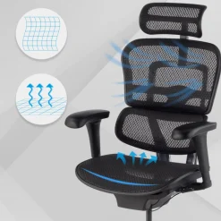 Sedia direzionale ergonomica Ergohuman Edition I, Struttura nera