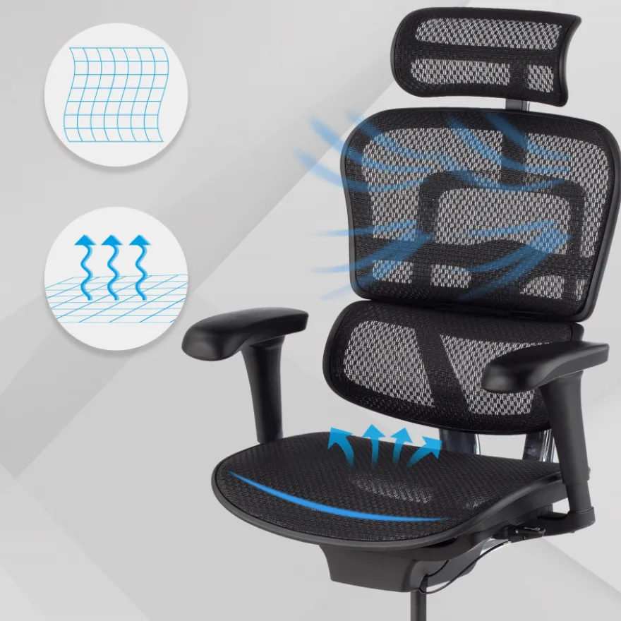 Sedia direzionale ergonomica Ergohuman Edition I, Struttura nera