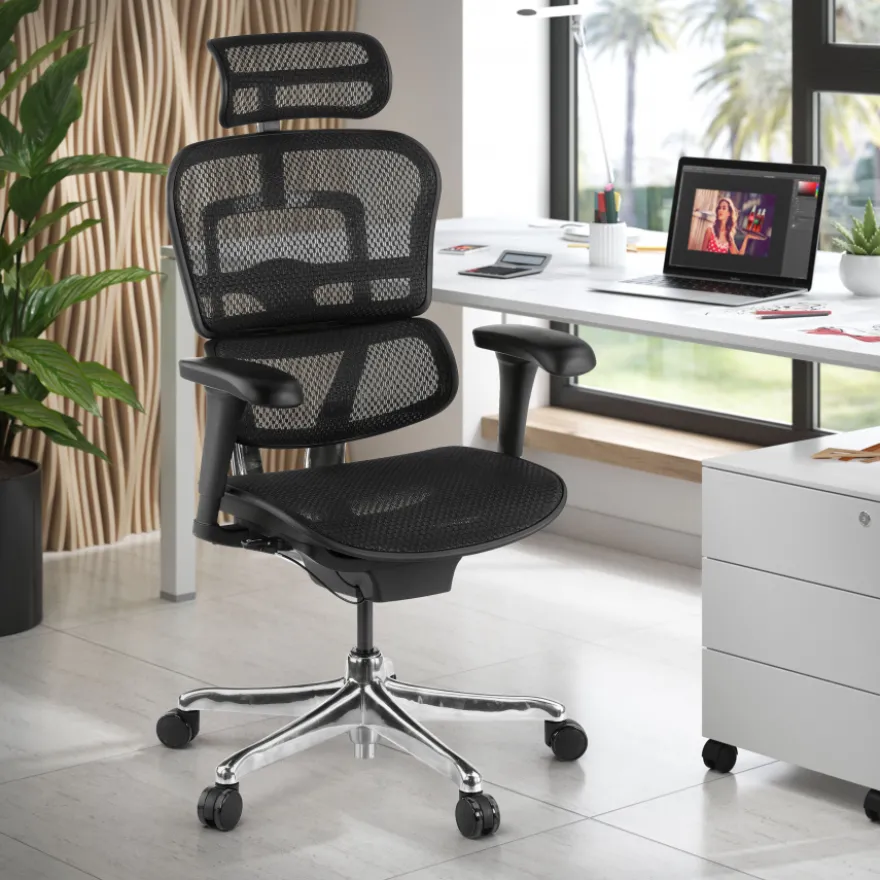 Sedia direzionale ergonomica Ergohuman Edition I, Struttura nera