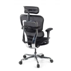 Sedia direzionale ergonomica Ergohuman Edition I, Struttura nera