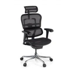 Sedia direzionale ergonomica Ergohuman Edition I, Struttura nera
