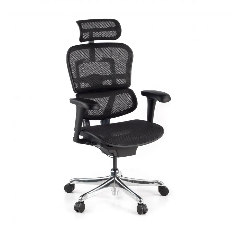 Sedia direzionale ergonomica Ergohuman Edition I, Struttura nera