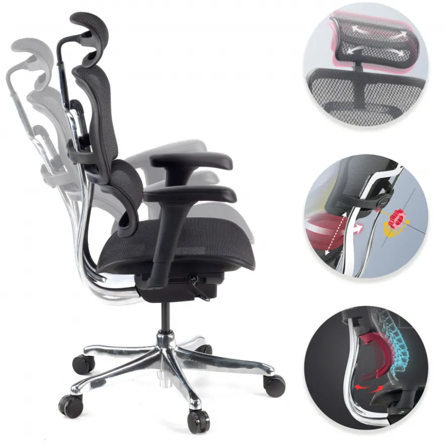 Sedia direzionale ergonomica Ergohuman Edition I, Struttura nera