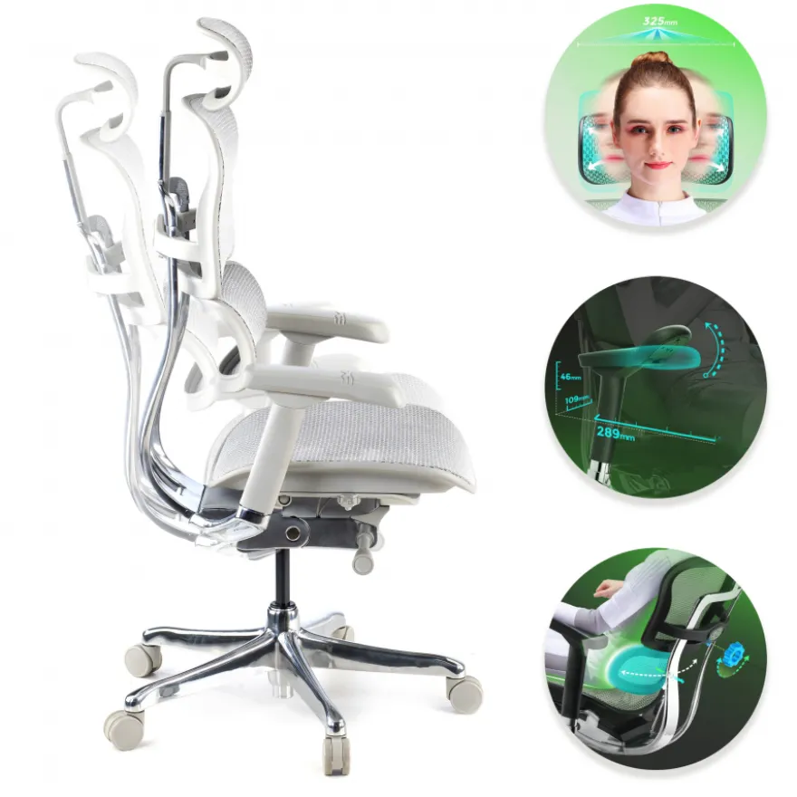 Sedia direzionale ergonomica Ergohuman Elite, Struttura bianca