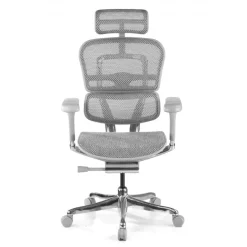 Sedia direzionale ergonomica Ergohuman Elite, Struttura bianca