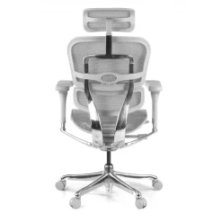 Sedia direzionale ergonomica Ergohuman Elite, Struttura bianca