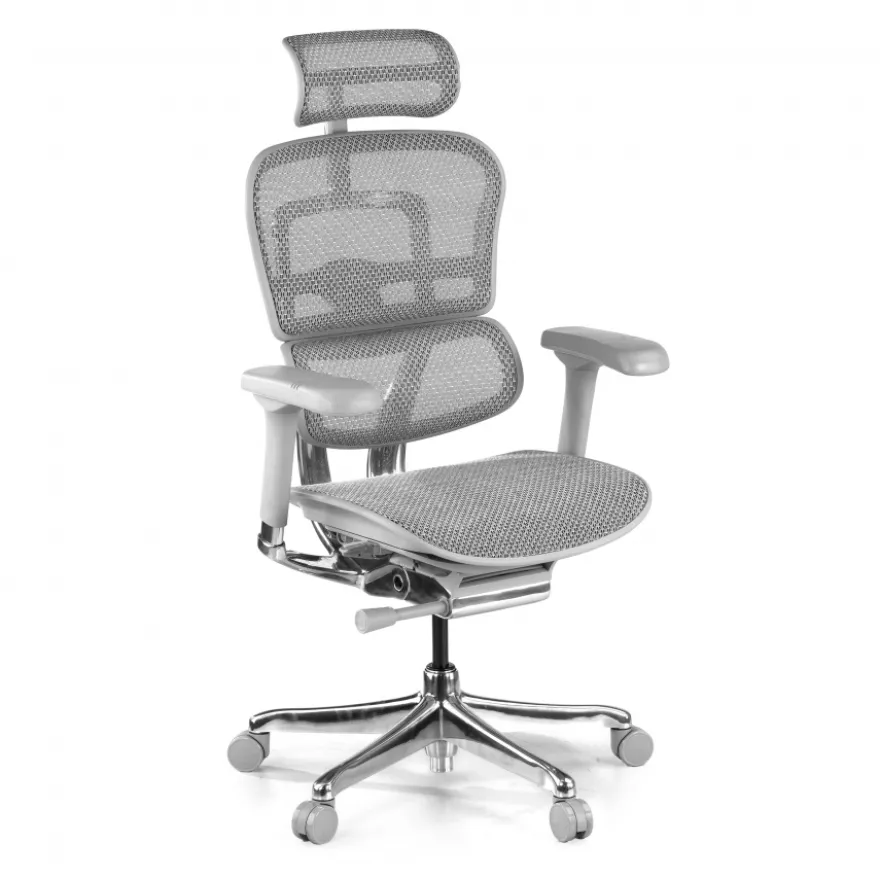 Sedia direzionale ergonomica Ergohuman Elite, Struttura bianca