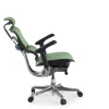 Sedia direzionale ergonomica Ergohuman Elite, Struttura nera