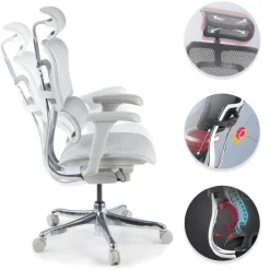 Sedia direzionale ergonomica Ergohuman Edition I, Struttura bianca