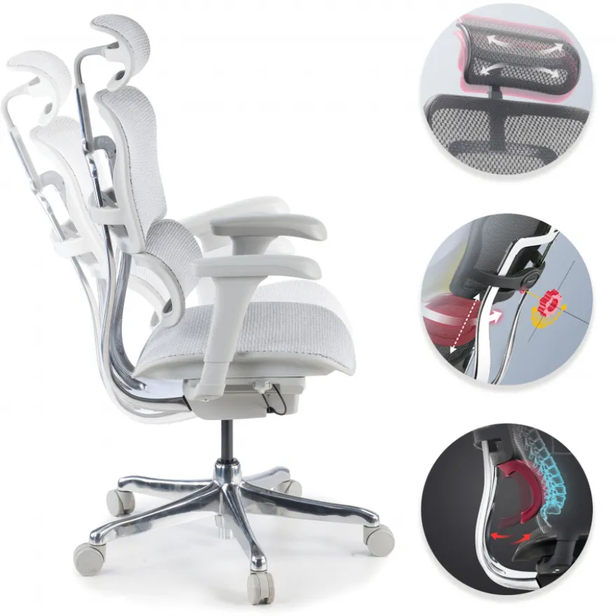 Sedia direzionale ergonomica Ergohuman Edition I, Struttura bianca