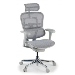 Sedia direzionale ergonomica Ergohuman Edition I, Struttura bianca