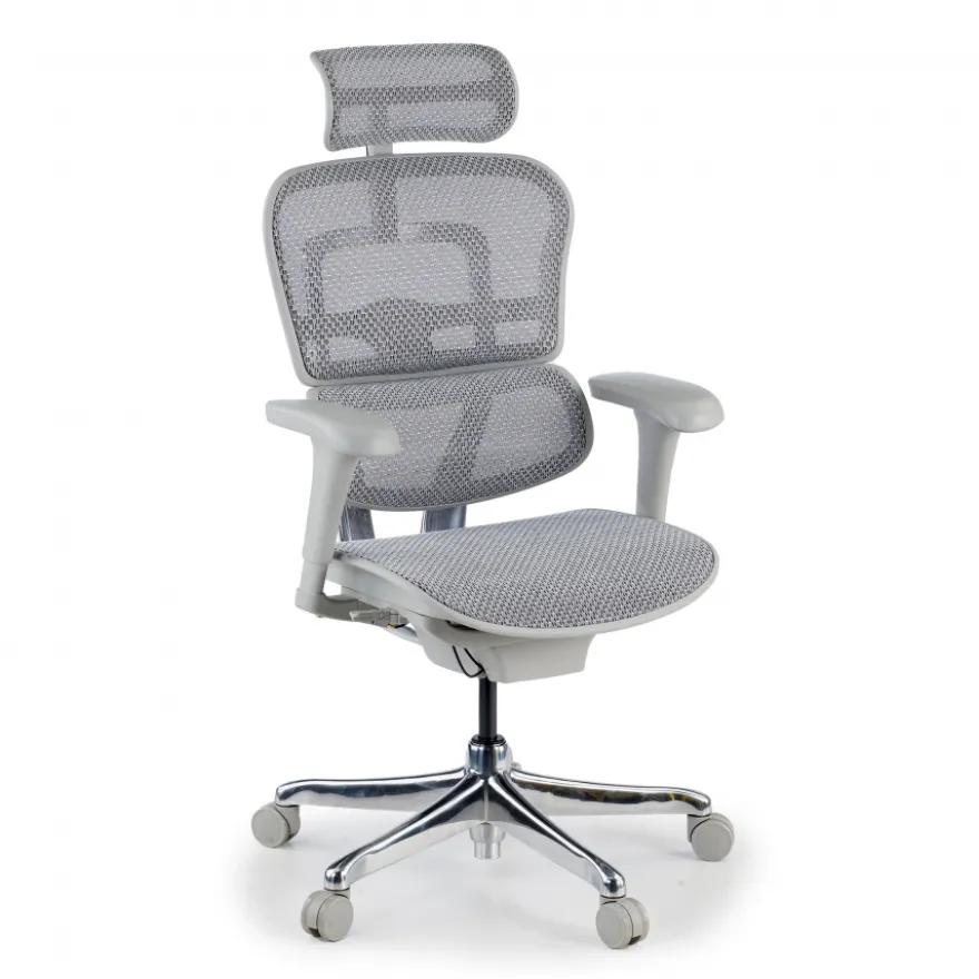 Sedia direzionale ergonomica Ergohuman Edition I, Struttura bianca