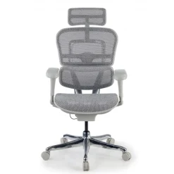 Sedia direzionale ergonomica Ergohuman Edition I, Struttura bianca