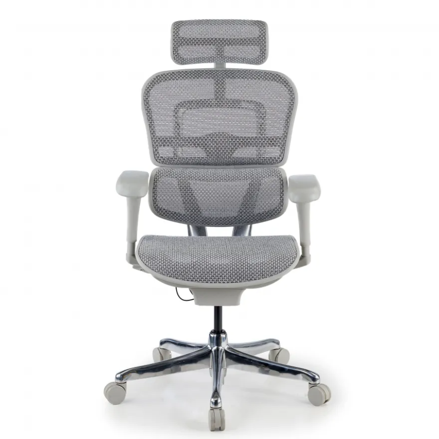 Sedia direzionale ergonomica Ergohuman Edition I, Struttura bianca